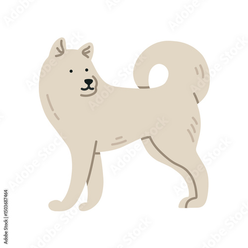 Illustration of Samoyed dog standing. It can be used for pet-related marketing materials, educational content about breeds, prints, cards etc. Vector illustration isolated on white background.