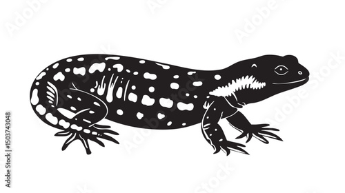 hand drawn silhouette of salamander , black silhouettes isolated on white background