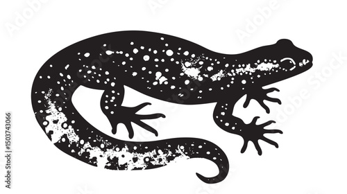 hand drawn silhouette of salamander , black silhouettes isolated on white background