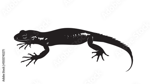 hand drawn silhouette of salamander , black silhouettes isolated on white background