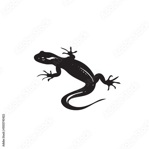 hand drawn silhouette of salamander , black silhouettes isolated on white background
