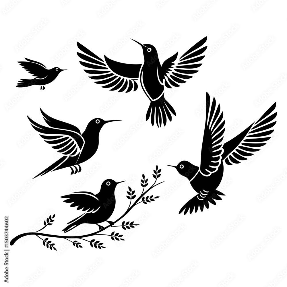 Obraz premium Set of Hummingbird Silhouettes