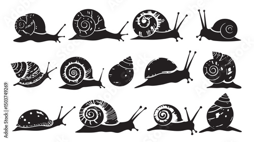 hand drawn silhouette of snail , black silhouettes isolated on white background