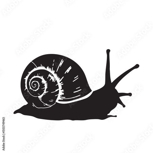 hand drawn silhouette of snail , black silhouettes isolated on white background