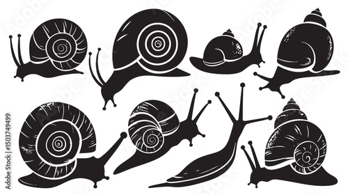 hand drawn silhouette of snail , black silhouettes isolated on white background