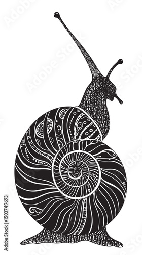 hand drawn silhouette of snail , black silhouettes isolated on white background