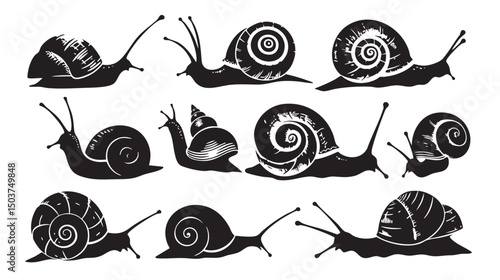 hand drawn silhouette of snail , black silhouettes isolated on white background