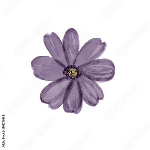 purple flower isolated on white background
