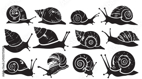 hand drawn silhouette of snail , black silhouettes isolated on white background