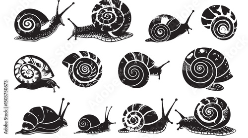 hand drawn silhouette of snail , black silhouettes isolated on white background