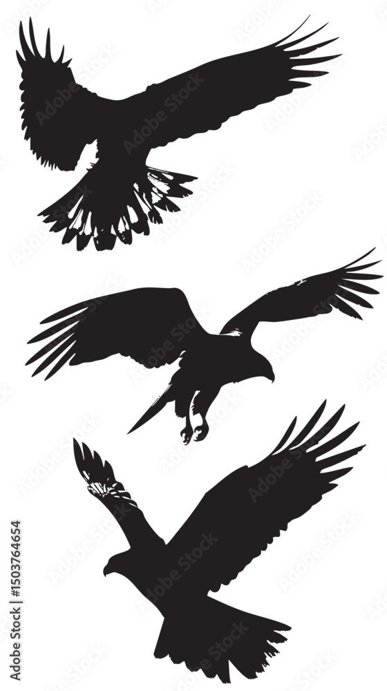 Fototapeta premium Hawks silhouette isolated in White background