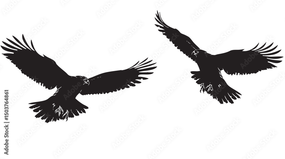 Fototapeta premium Hawks silhouette isolated in White background