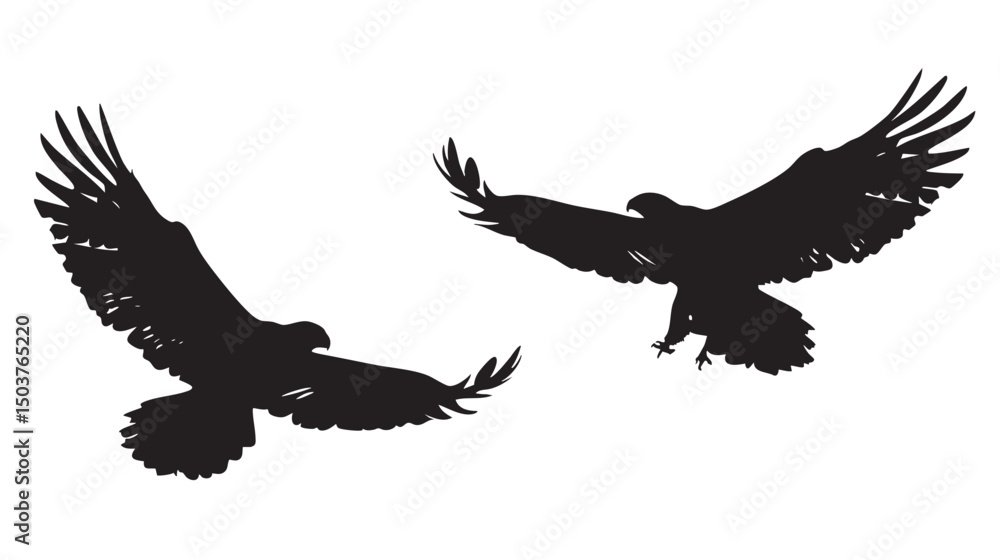 Obraz premium Hawks silhouette isolated in White background