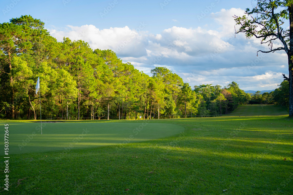 Fototapeta premium Beautiful golf course in a sunny day. Background evening golf course has sunlight shining down.