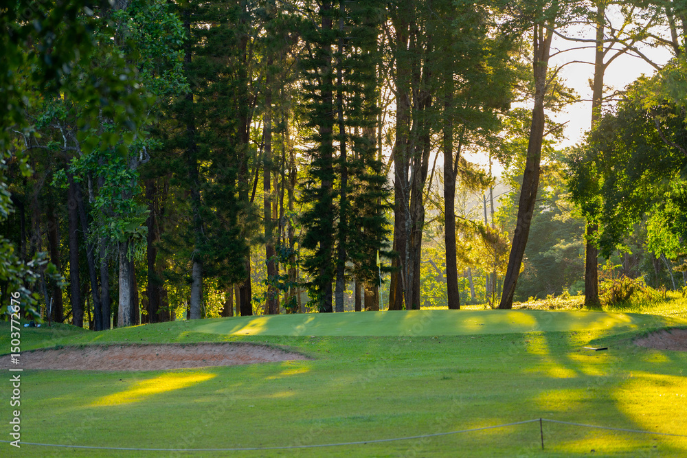Obraz premium Beautiful golf course in a sunny day. Background evening golf course has sunlight shining down.