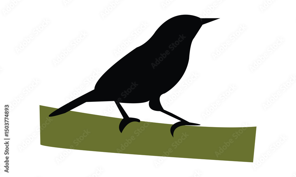 Obraz premium Aldabra white-eye bird Silhouette Design And Vector Illustration. 
