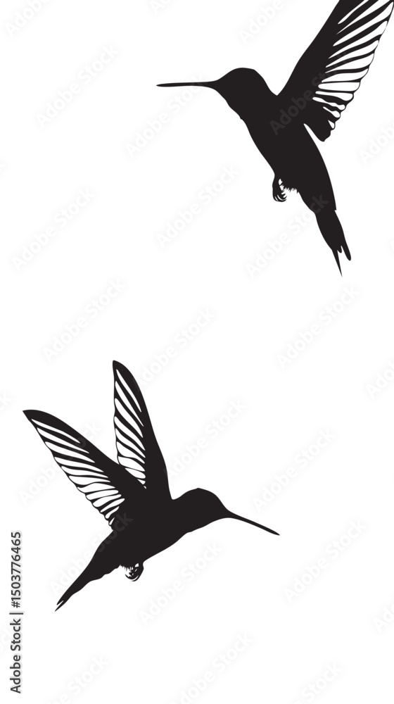 Fototapeta premium Hummingbirds silhouette isolated in White background