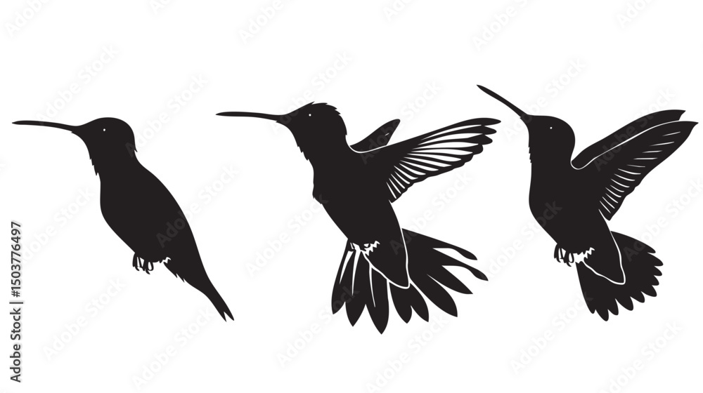 Obraz premium Hummingbirds silhouette isolated in White background