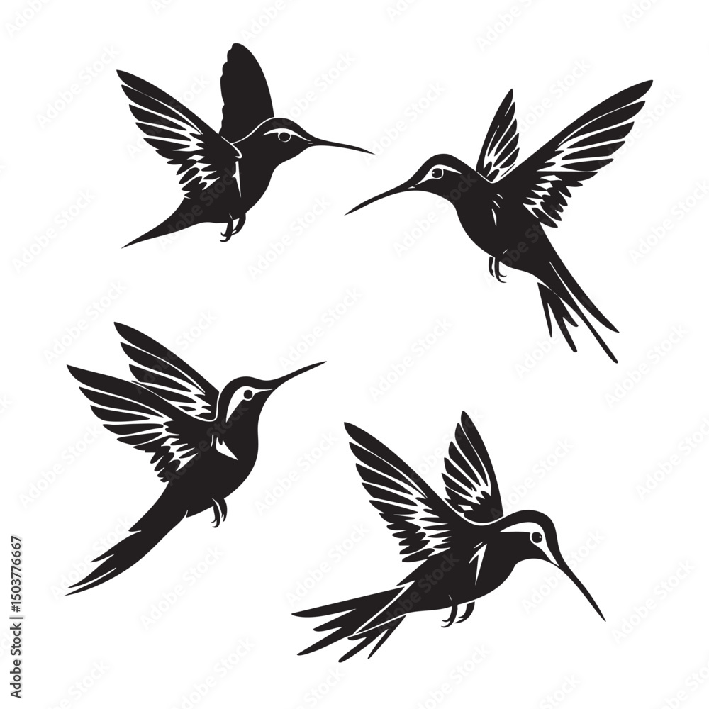 Fototapeta premium Hummingbirds silhouette isolated in White background