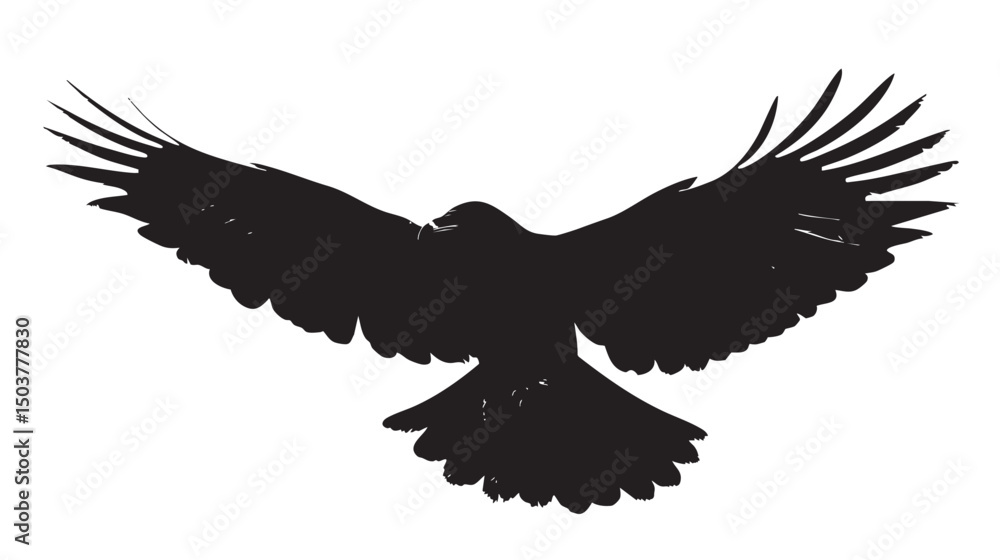 Obraz premium Isolated carrion crow in flight with fully open wings silhouette