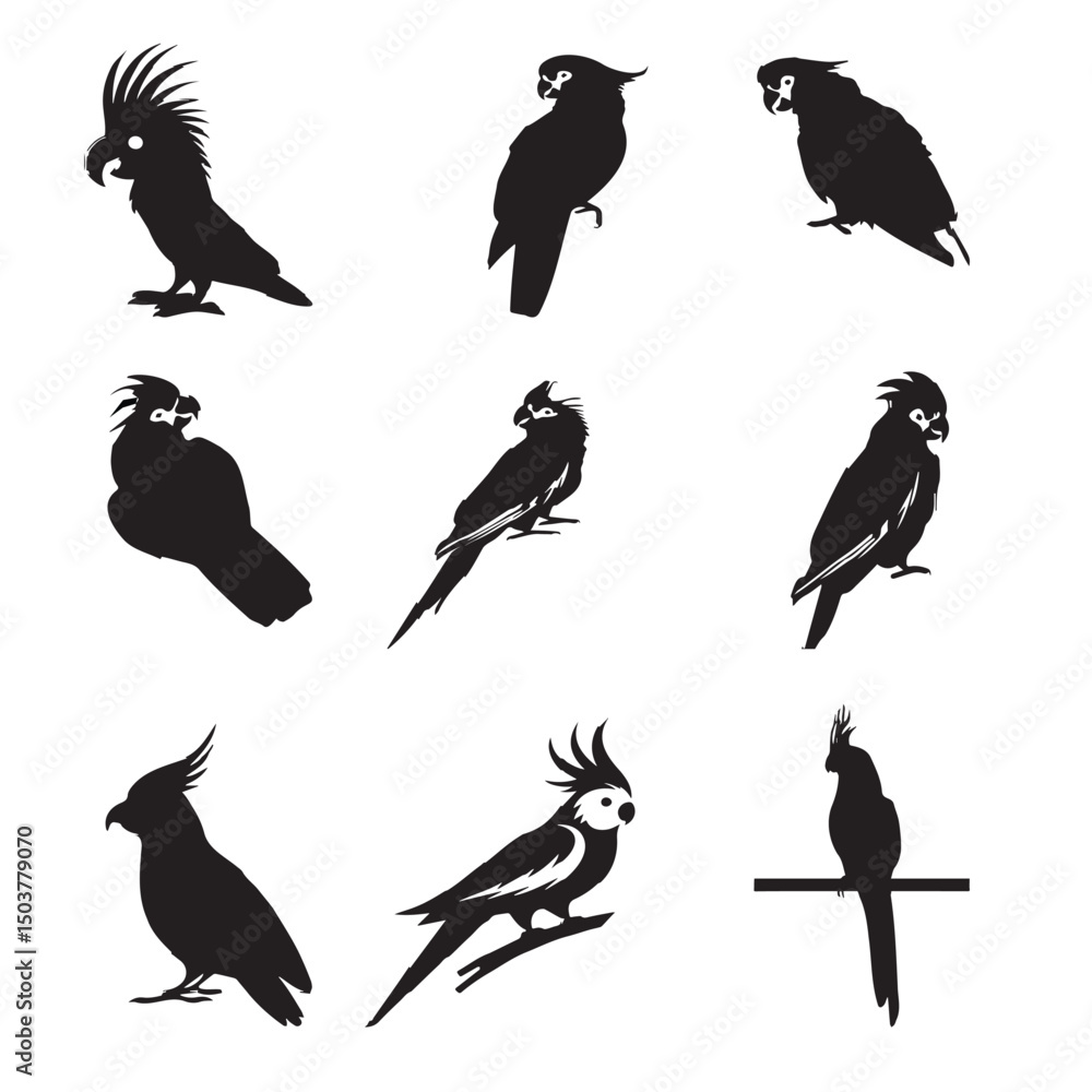 Obraz premium bird vector image 2