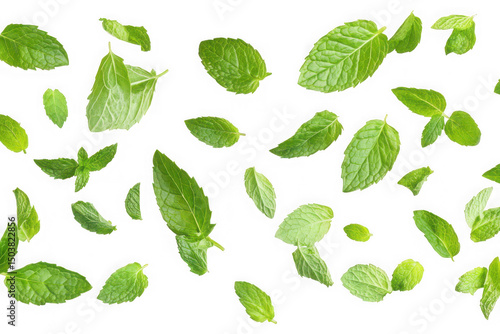 Fresh mint leaves falling isolated on transparent background