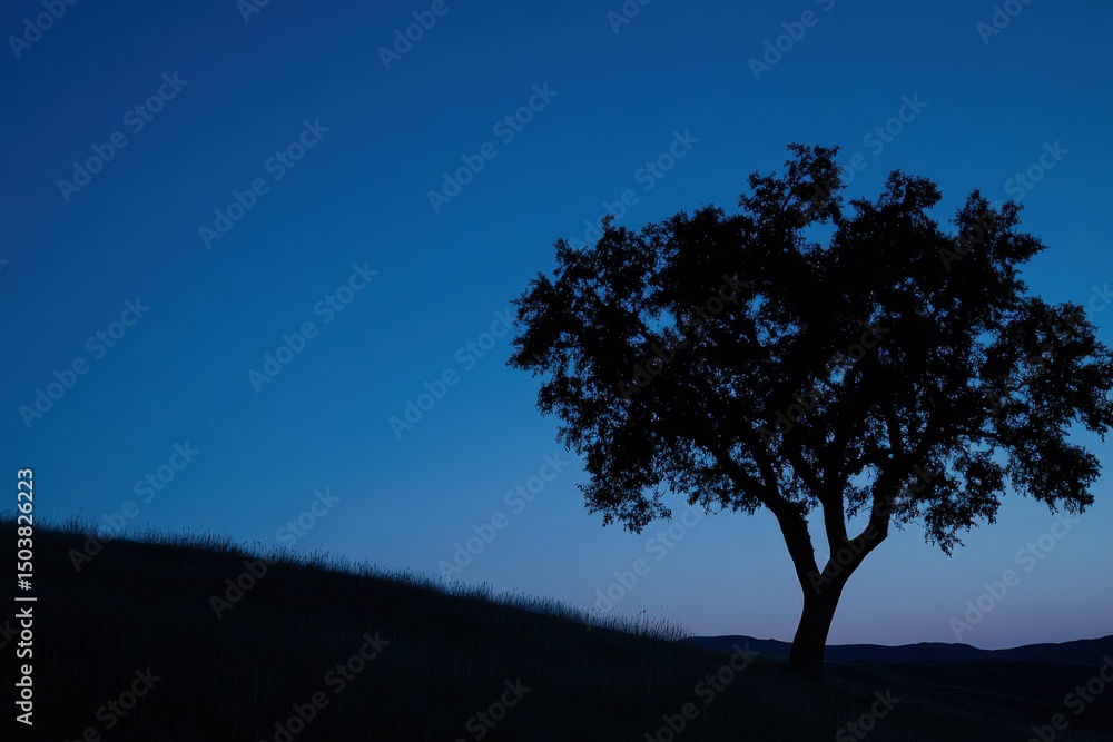 Obraz premium Silhouette of a tree against a twilight sky with soft hillside