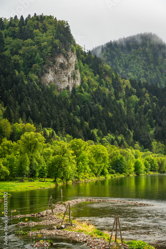 Fototapeta Naklejka Na Ścianę i Meble -  Walking in Szczawnica on promenade over Dunajec river