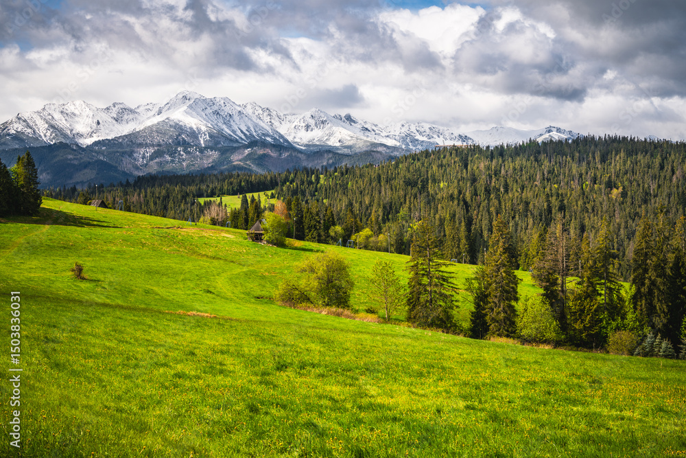 Fototapeta premium View on High Tatras peaks
