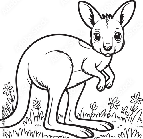 kangaroo drawing line art transparent background premium quality