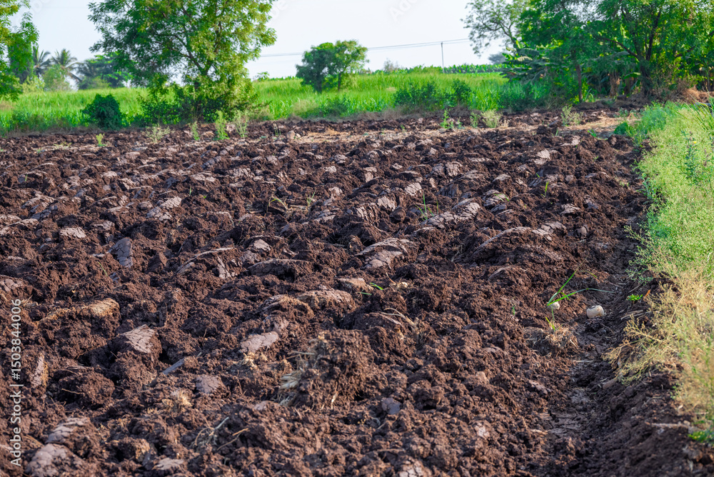 Agriculture plowed field. Black soil plowed field with stormy sky. Dirt soil ground in farm. Tillage soil prepared for planting crop Agriculture plowed field. Black soil plowed field with stormy sky. Dirt soil ground in farm. Tillage soil prepared for planting crop