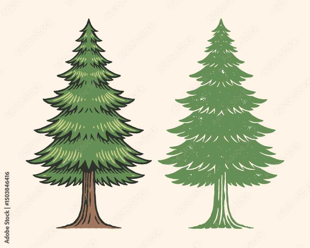 Fototapeta premium pine tree illustration