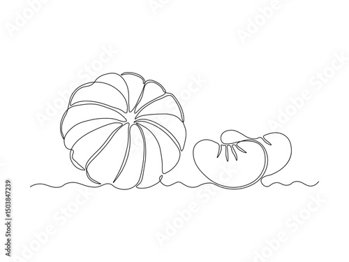 Abstract tangerine, mandarine,mandarin without peel and its slices. continuous single line art drawing sketch, logo