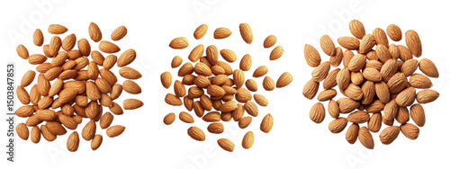 Assorted raw almonds arranged in three separate piles against a clean white background highlighting their natural color and texture