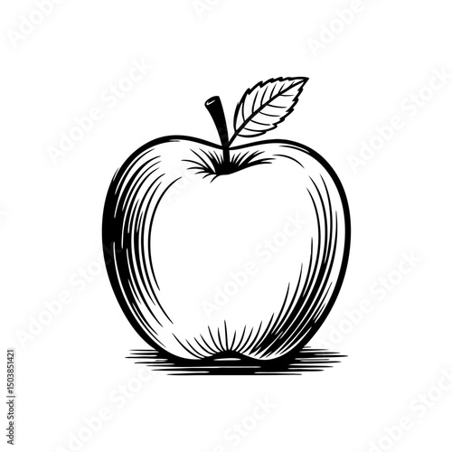 Single apple drawing, black and white, for food blogs
