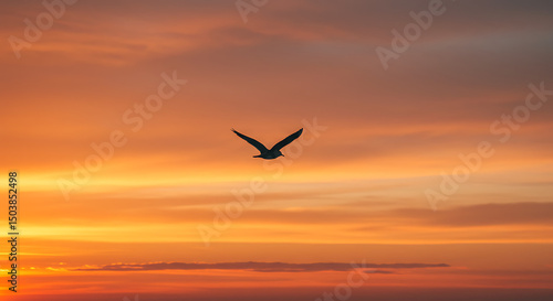 Silhouetted Bird Soaring Through Fiery Sunset Sky