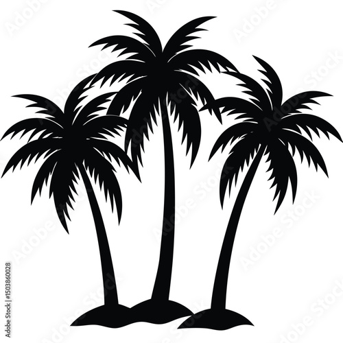 a collection of palm trees with wide sweeping fro