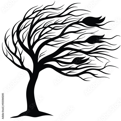 a lone tree with long drooping branches swaying i