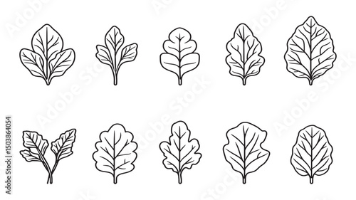 Beet leaf healthy food minimal outline