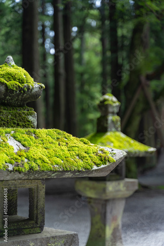 苔むす石灯籠と森の静寂
Moss-covered stone lantern in a tranquil Japanese forest