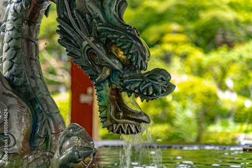 龍の手水舎と清らかな水
Dragon-shaped water spout at a Japanese purification fountain