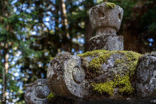 苔むす石灯籠と森の静寂
Moss-covered stone lantern in a tranquil Japanese forest