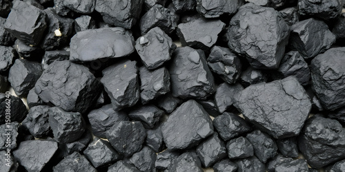 Wallpaper Mural Dark coal minerals are displayed in various shapes and sizes Torontodigital.ca