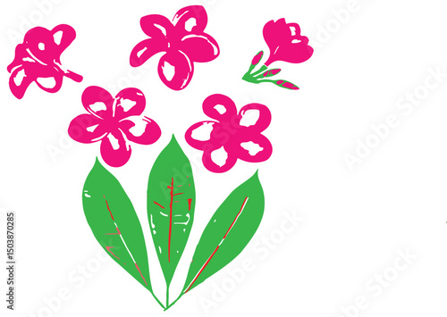 frangipani rosa group image