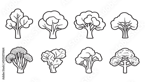 Carrot leaf vegetable fresh garden design