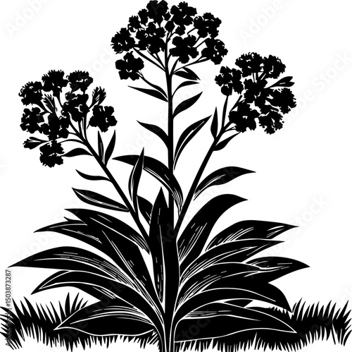Roadside flower design in SVG format.Elegant Silhouette of Flowering Plant with Dark Leaves