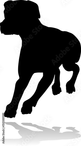 A detailed animal silhouett...