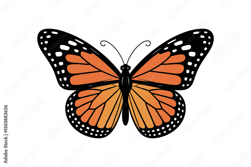 Fototapeta premium A clean vector illustration of a monarch butterfly with orange and black patterned wings isolated on white background