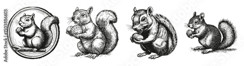 Cute Chipmunk Vector Icons in Four Unique Styles for Illustrations