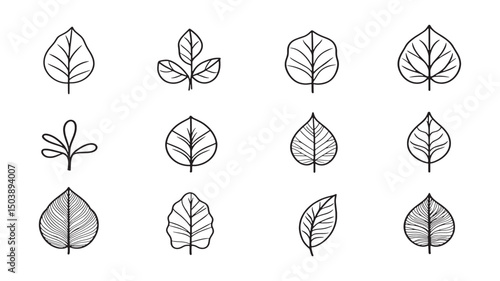 Taro Leaf Stylized Minimalist Botanical Drawing
